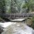 clarks-creek-jedediah-smith-redwoods-state-park-ca-